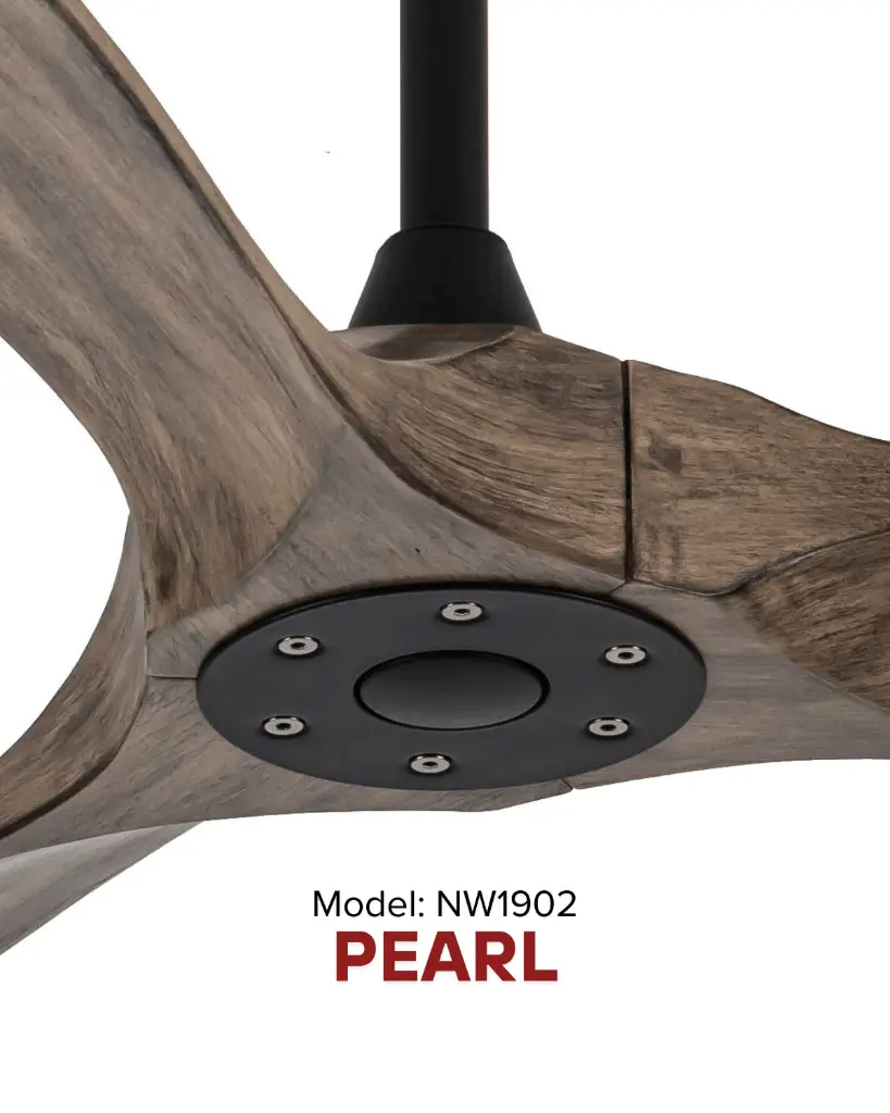 pearl-5.webp