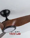 TACOLED_3.webp