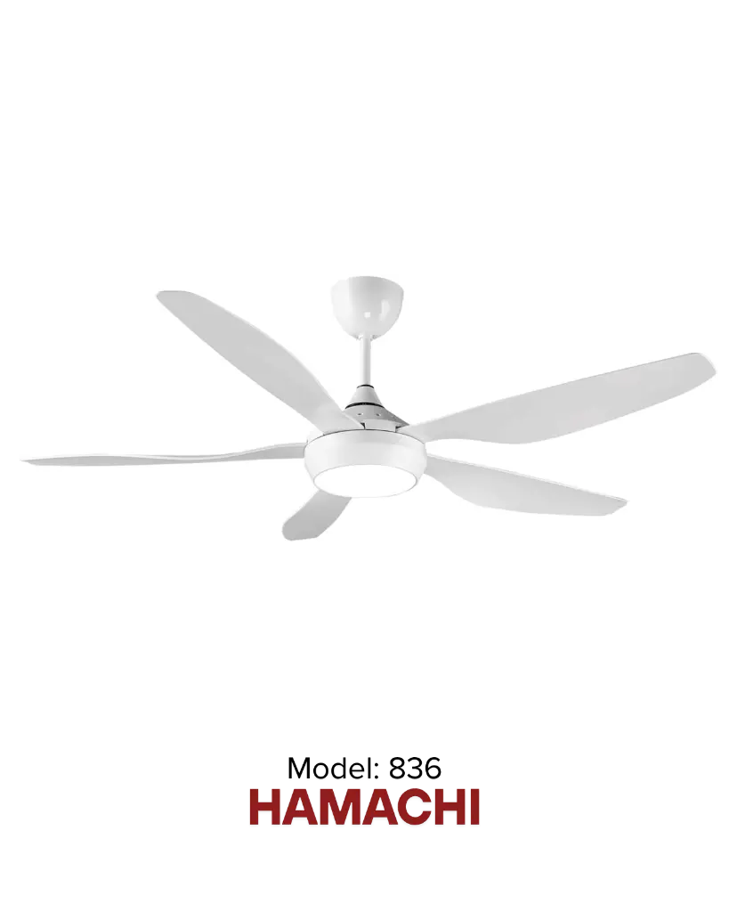 hamachiled.webp