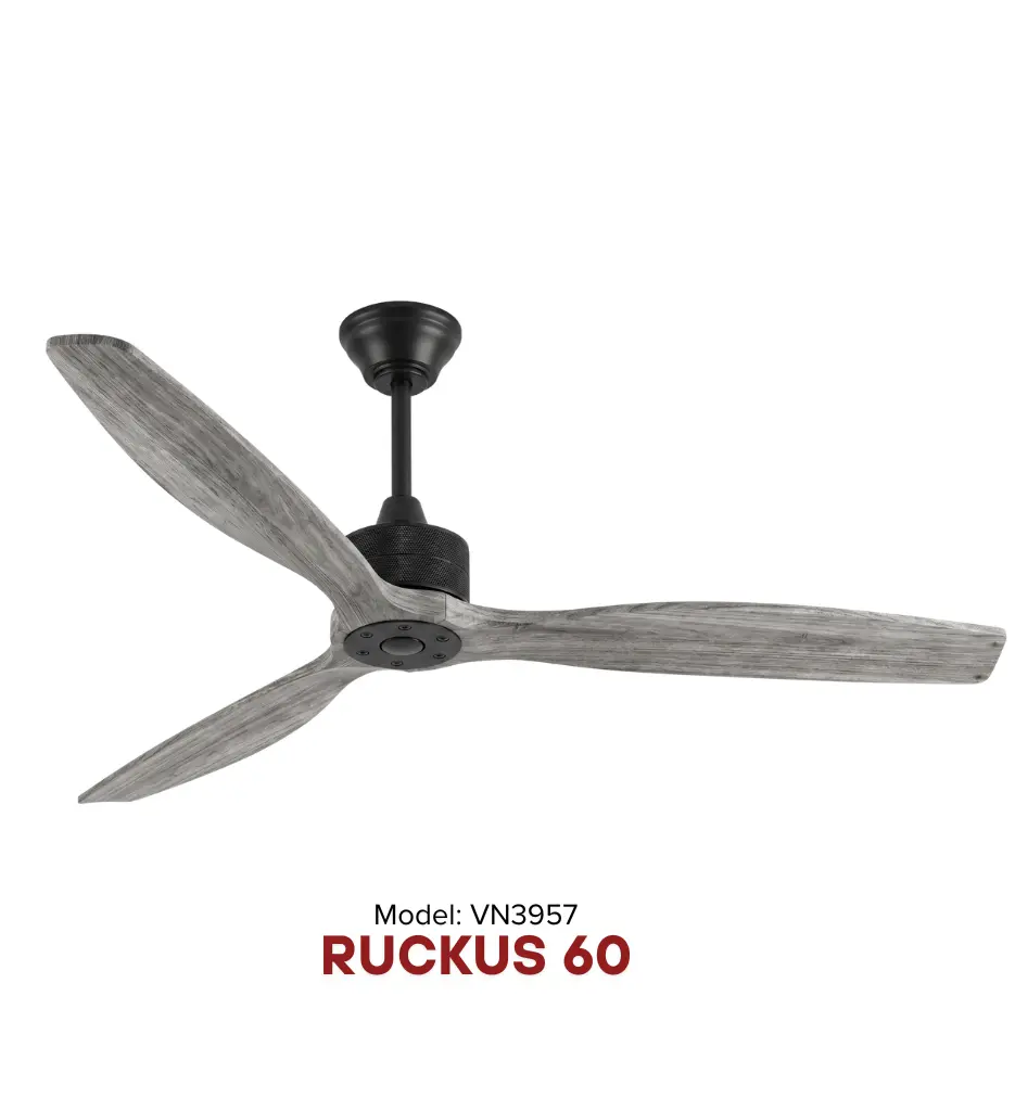 RUCKUS-60-4.webp