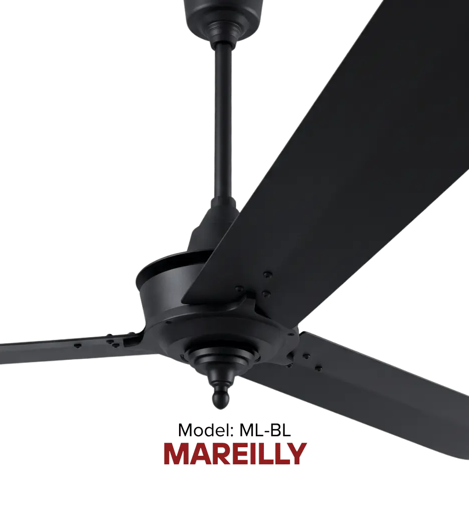 MB_2_cfan-hvls-2026.webp