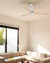 wood_light_akmani.webp