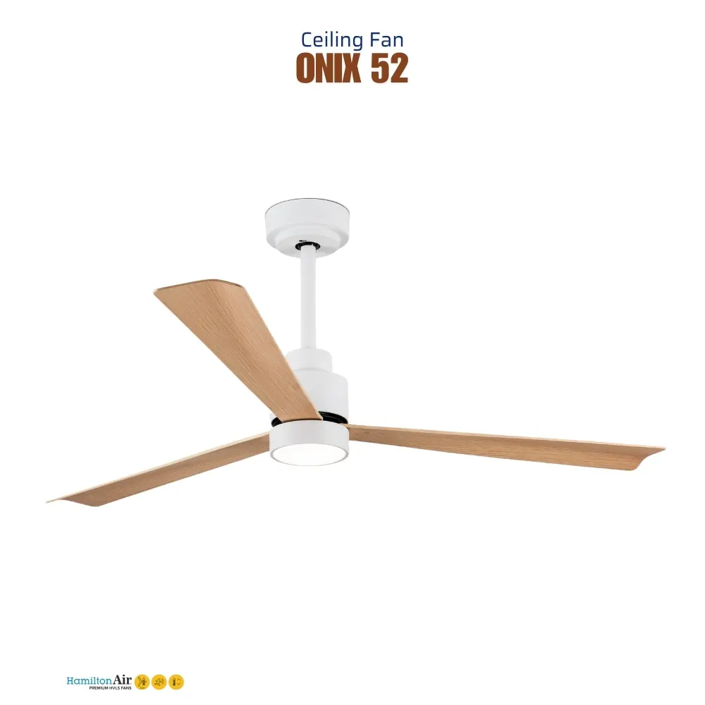 fans_31.webp