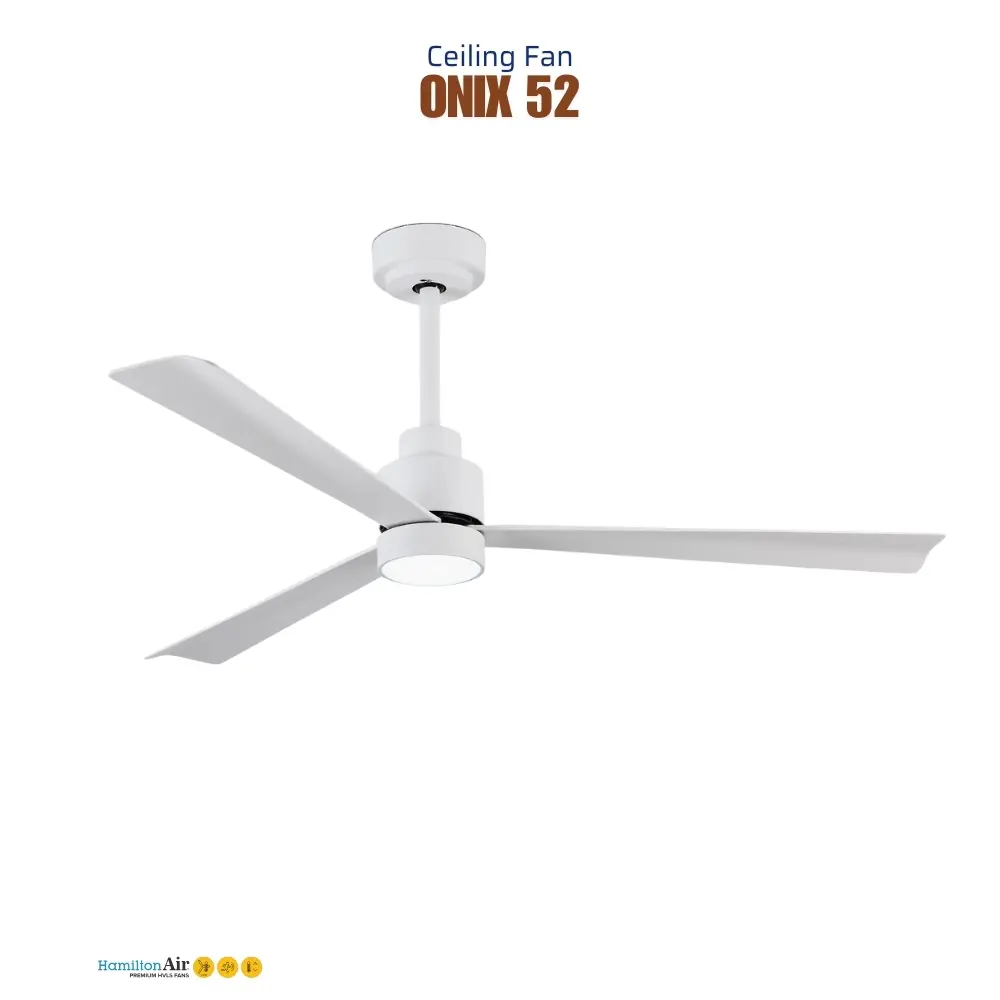fans_29.webp