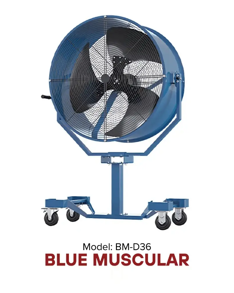 Quạt thổi 36" BLUE MUSCULAR