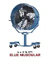 Quạt thổi 36" BLUE MUSCULAR