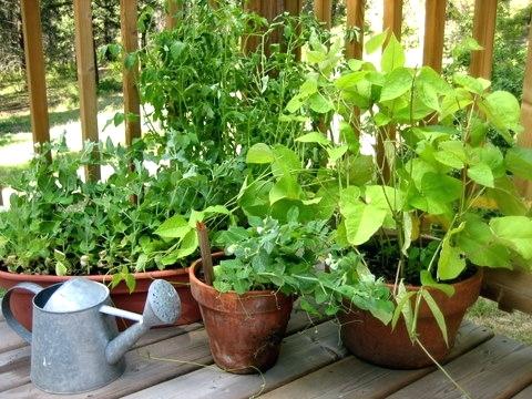 Cơ bản về động cơ quạt